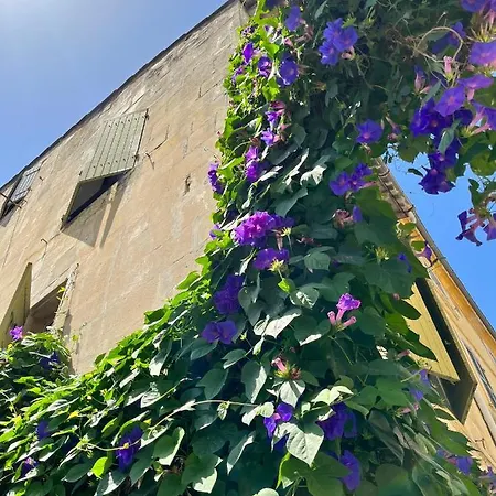 Alloggio in famiglia Le Donjon De La Roquette Arles